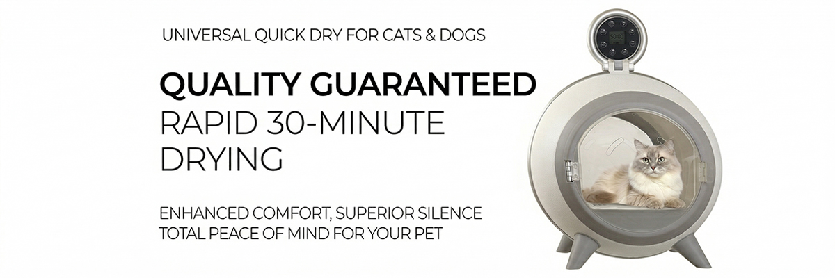 Automated dog dryer