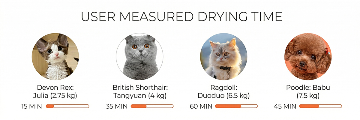 Pet bath drying solution