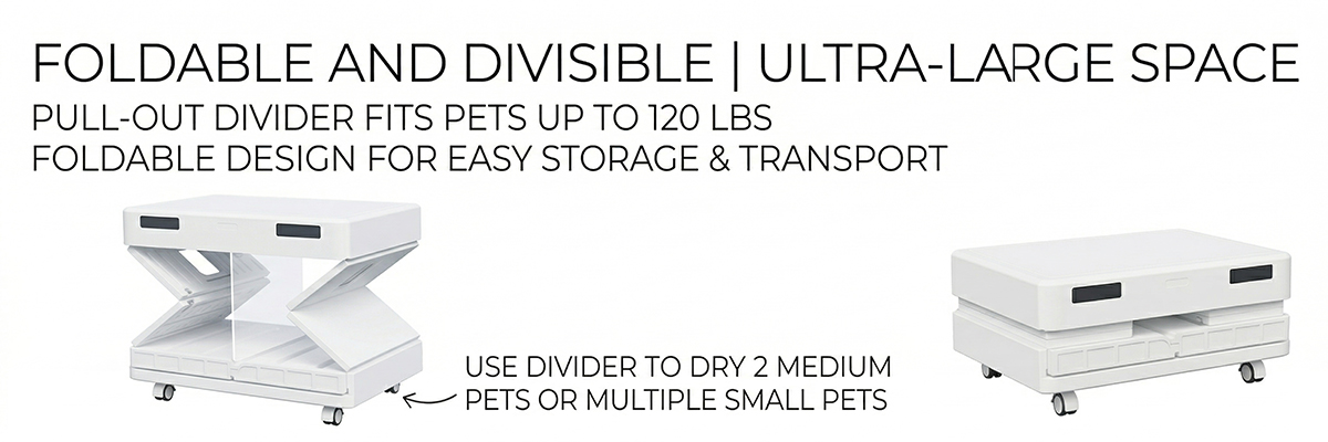 Professional pet salon equipment