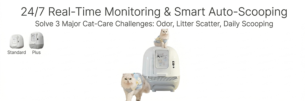 App controlled cat box