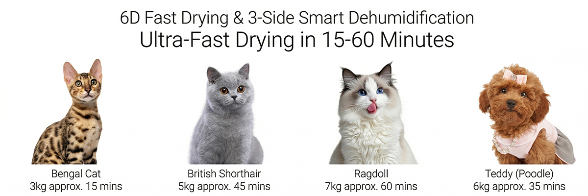 Advanced pet air dryer