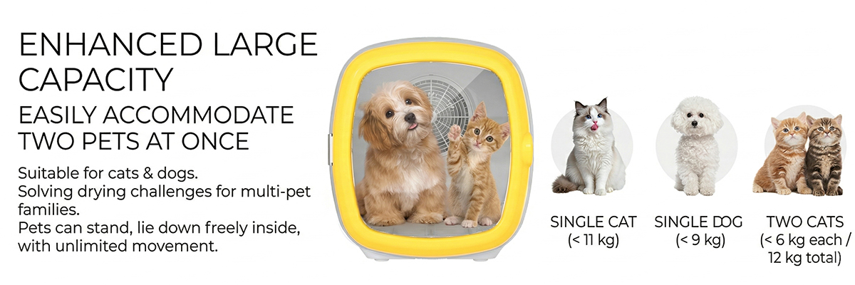 Anion pet hair blower