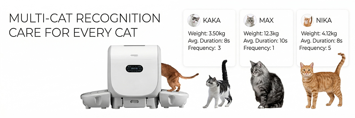 Auto-scooping cat litter box