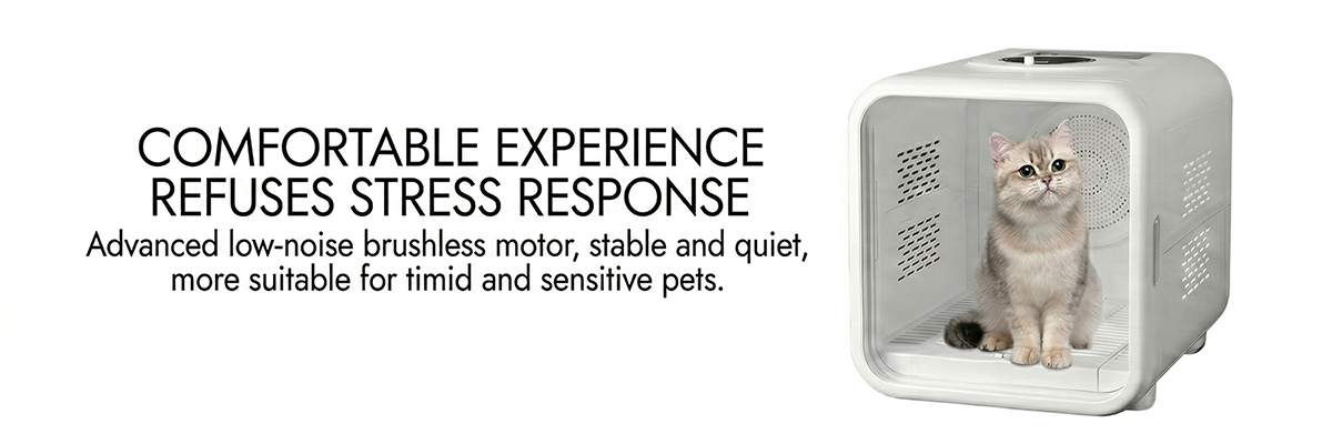 Smart home pet care