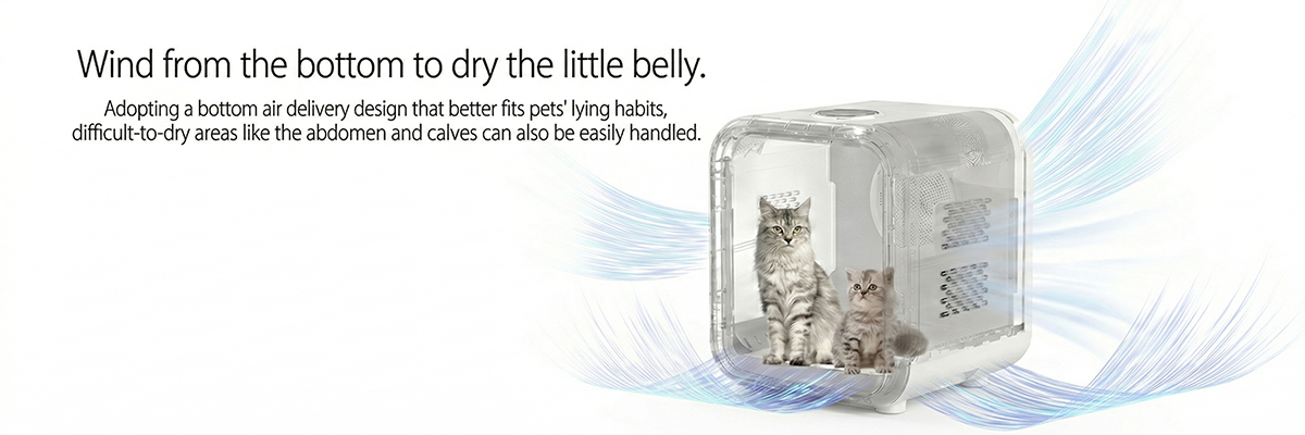 Multi-functional pet dryer