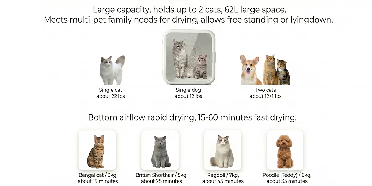 B2B smart pet care devices