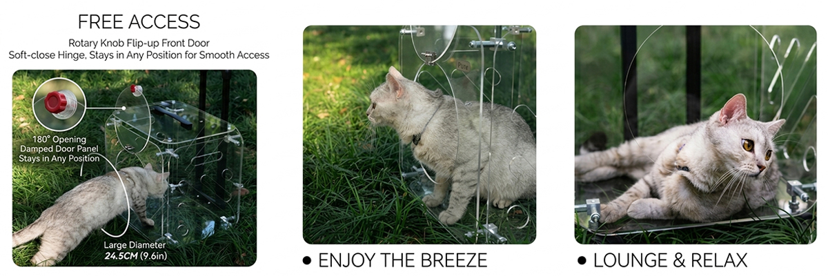Transparent Pet Trolley Case