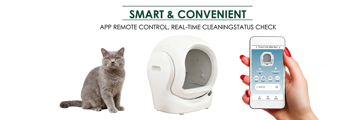 automatic litter box supplier