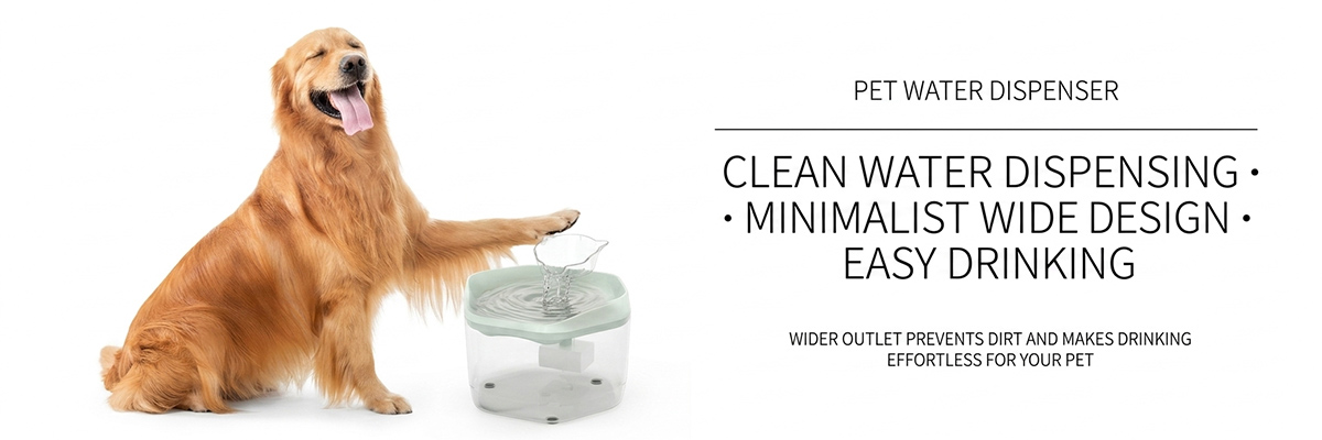 Low-voltage USB powered pet fountain
