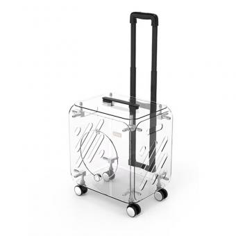 Pet travel suitcase