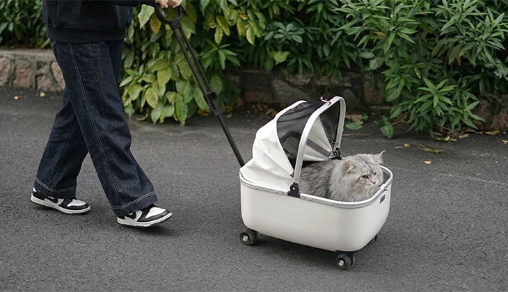 Why You Need a Pet Stroller? 5 Hidden Benefits of Pet Strollers
